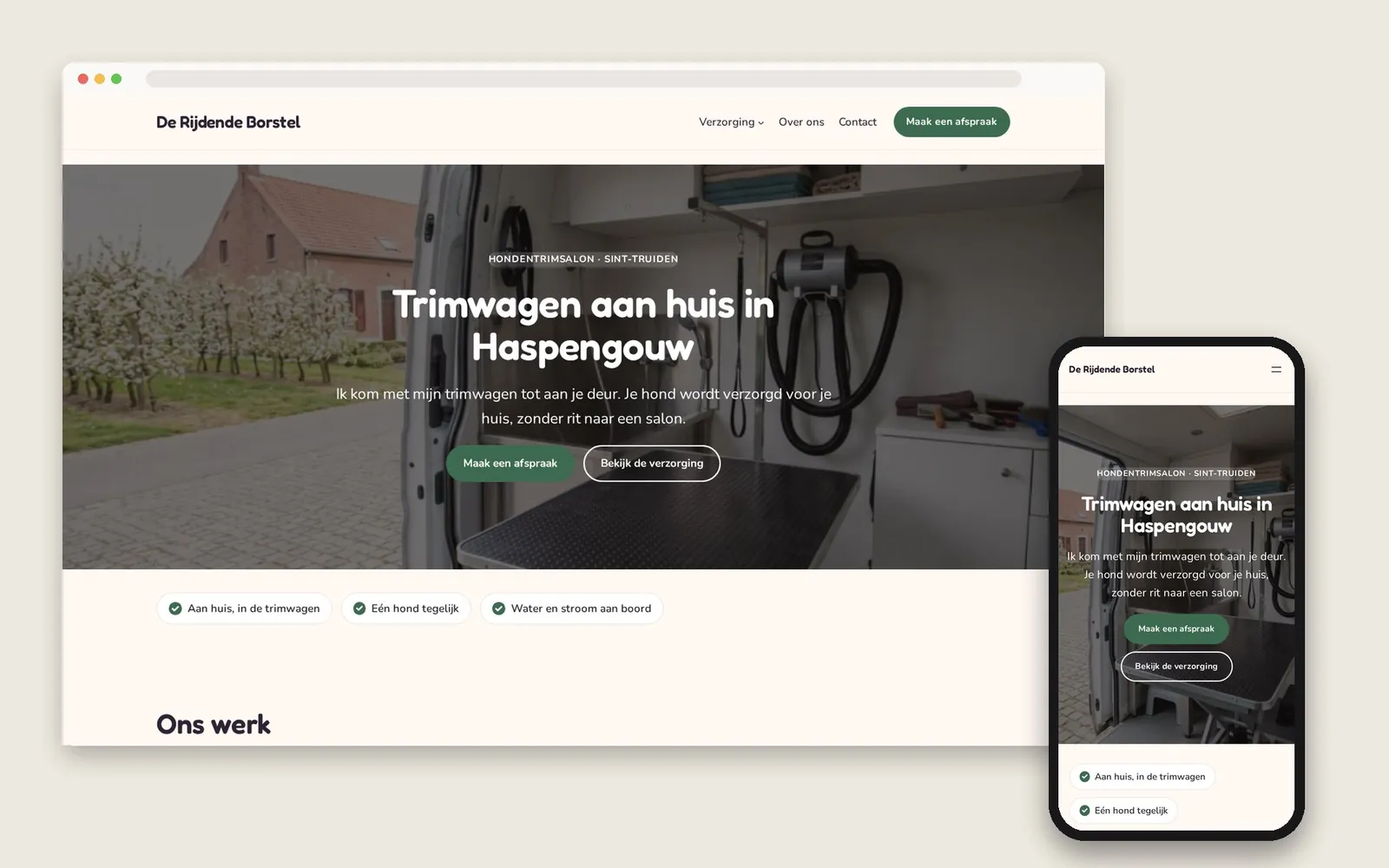 De website van De Rijdende Borstel op computer en gsm